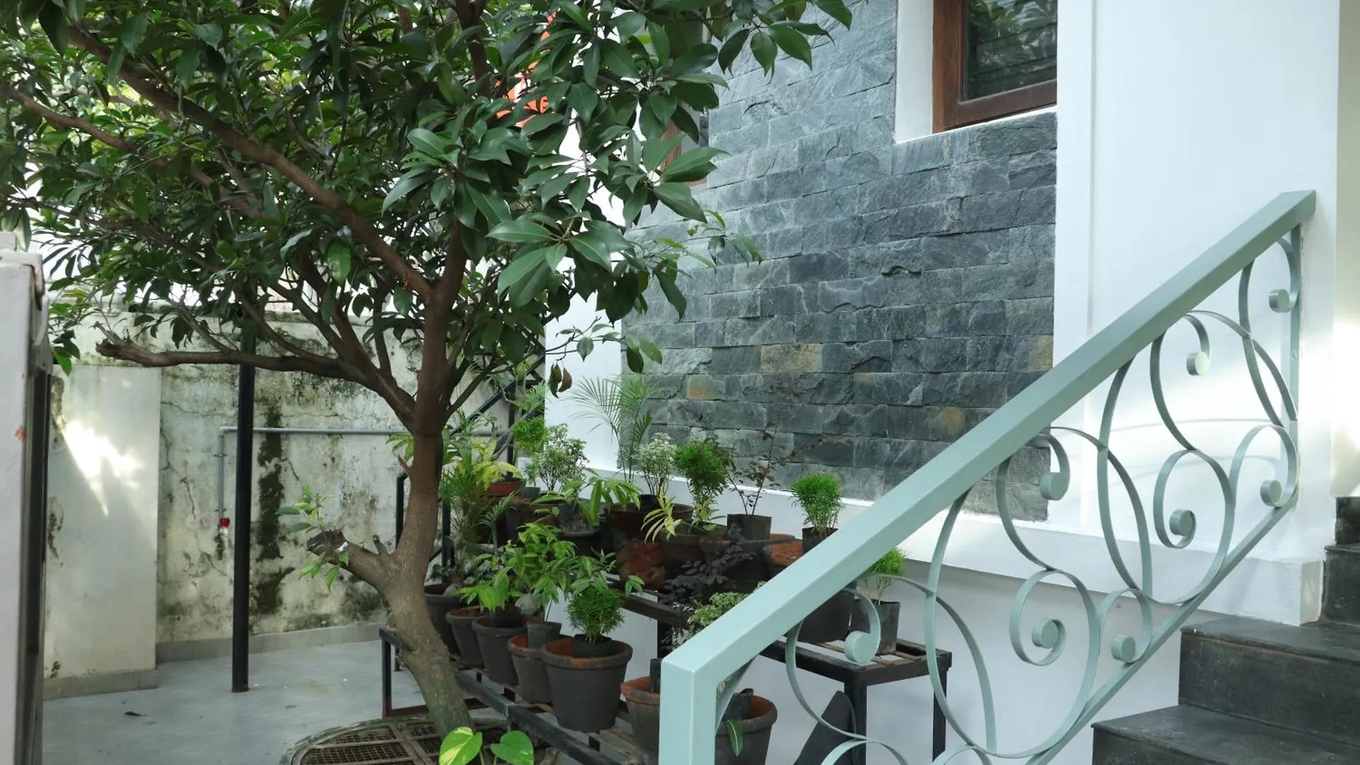 Homestay Orange Valley Green Garden Apartment Kochi India